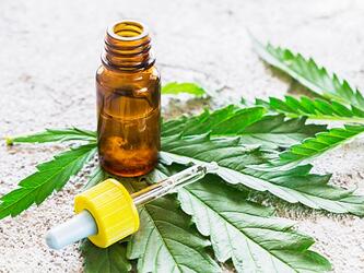 Cannabis oil_crop